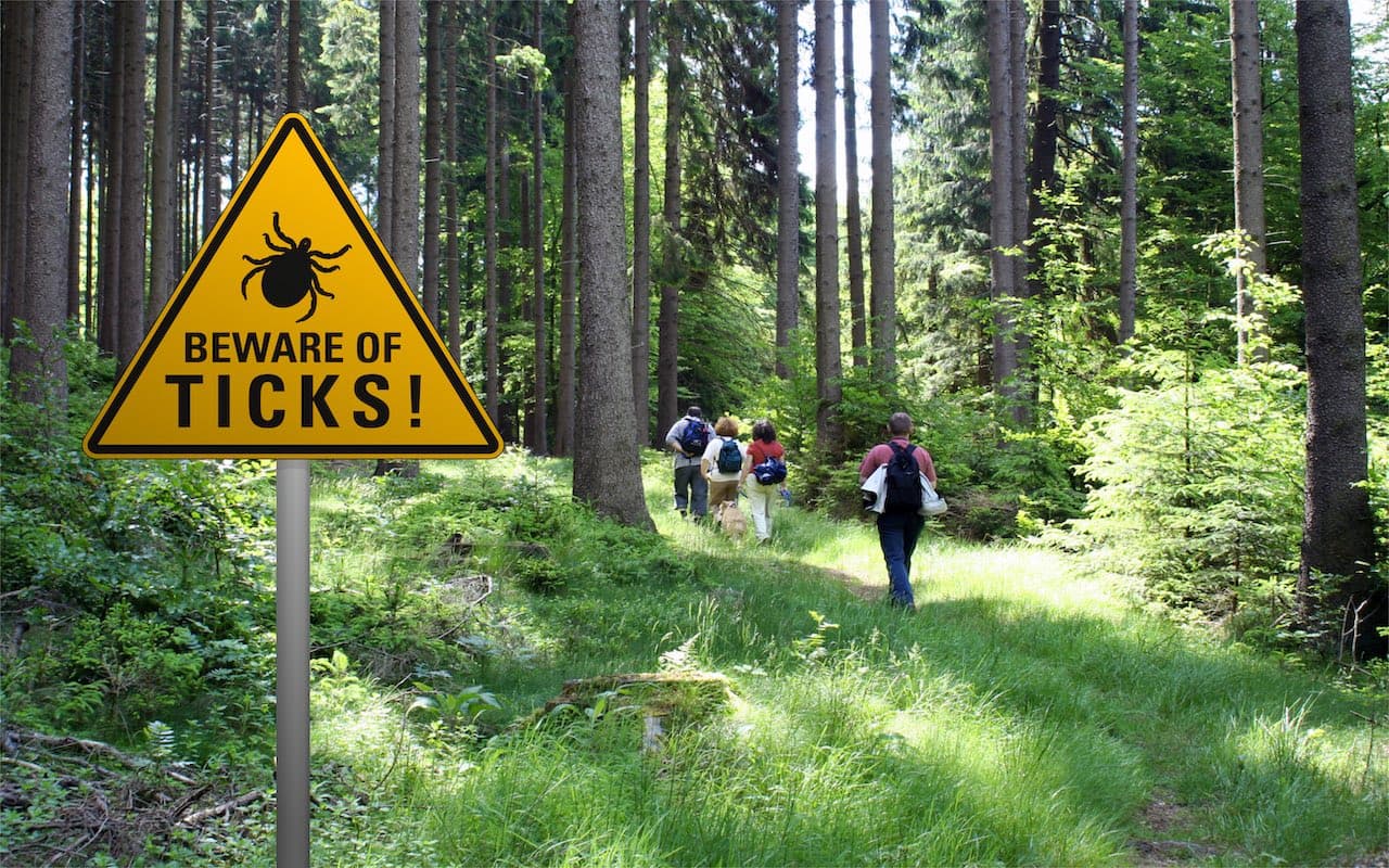 Tick Off a TBE Vaccination If Your Travel Plans Require One