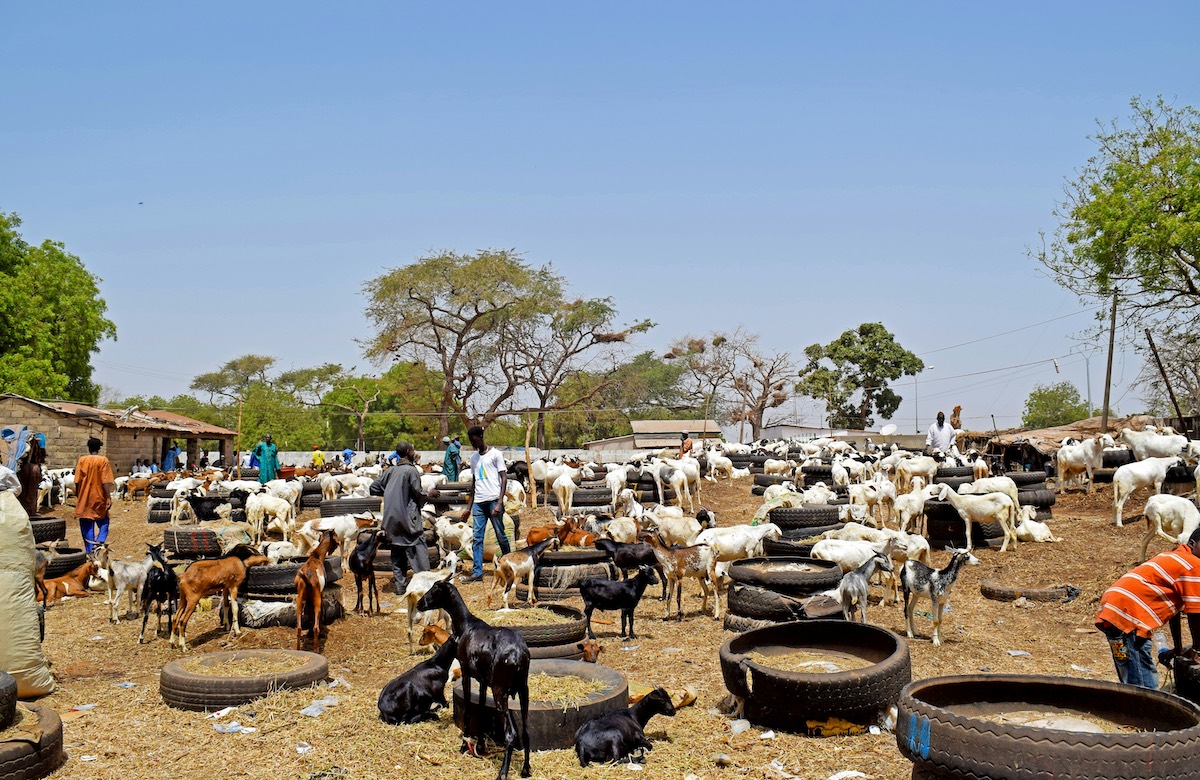 Photo by Omoniyi David on Unsplash